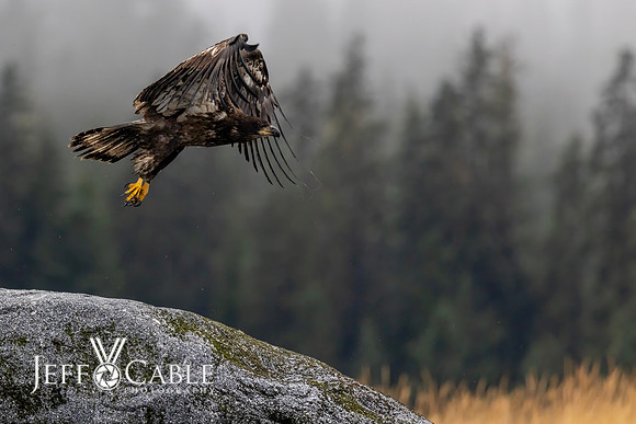Alaska Photos