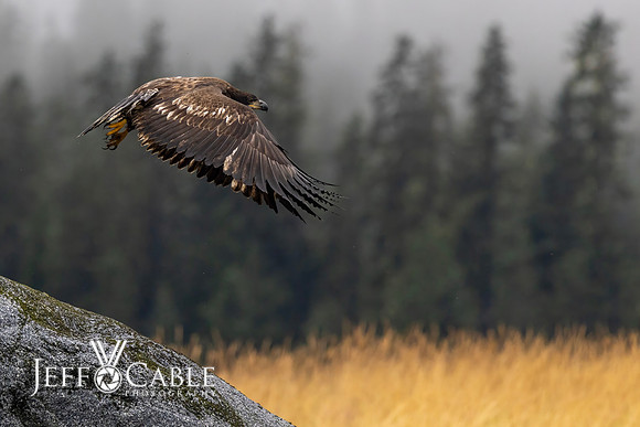 Alaska Photos