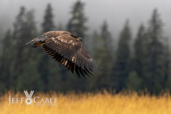 Alaska Photos
