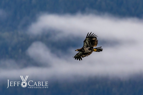 Alaska Photos
