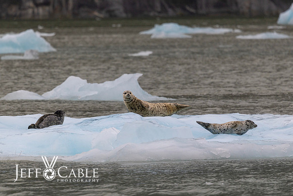 Alaska Photos