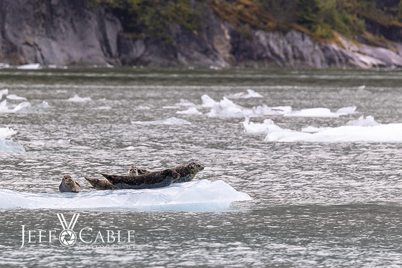 Alaska Photos