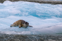 Alaska Photos