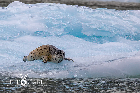 Alaska Photos