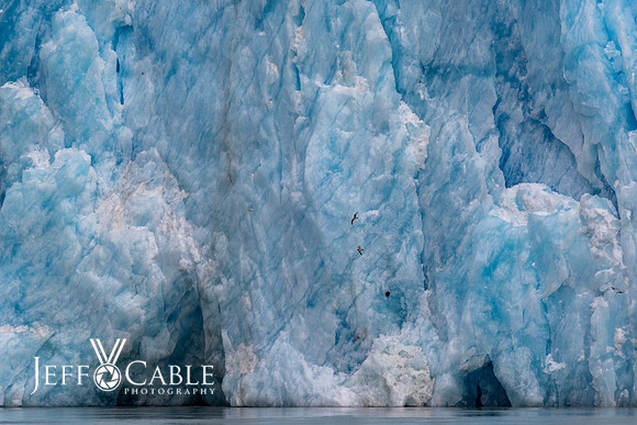 Alaska Photos