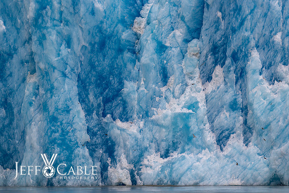 Alaska Photos