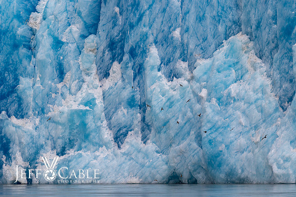 Alaska Photos