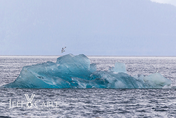 Alaska Photos