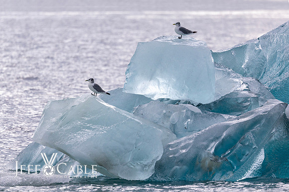 Alaska Photos