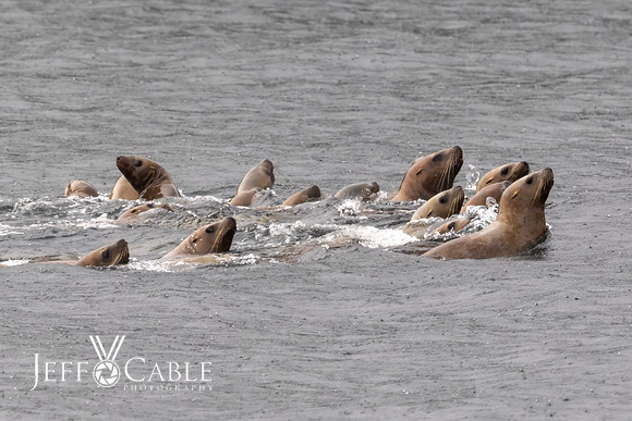 Alaska Photos