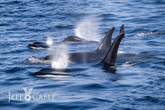 Alaska Photos