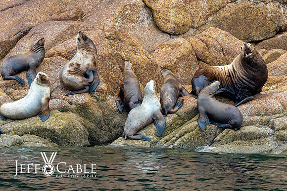 Alaska Photos