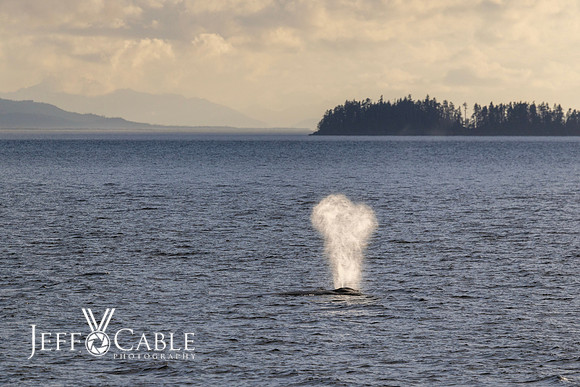 Alaska Photos