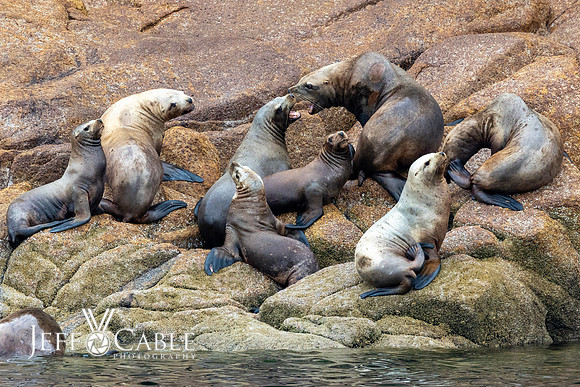 Alaska Photos
