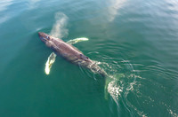 Alaska Photos