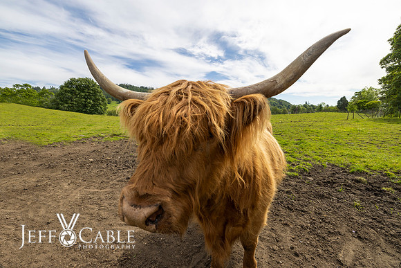 Edit-Scotland-Photo-Tour-0143