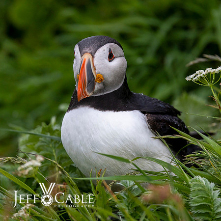 Edit-Scotland-Photo-Tour-0373