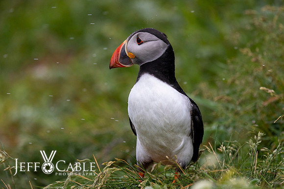 Edit-Scotland-Photo-Tour-0394