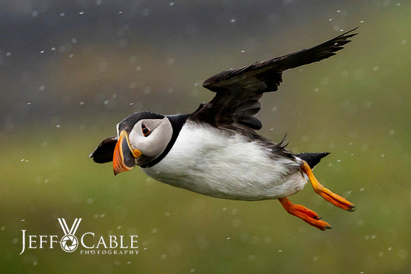 Edit-Scotland-Photo-Tour-0512