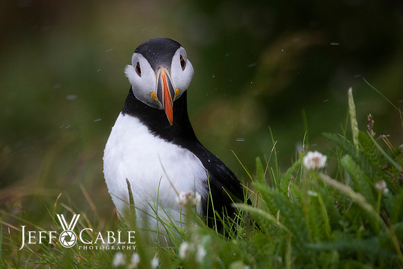 Edit-Scotland-Photo-Tour-0588