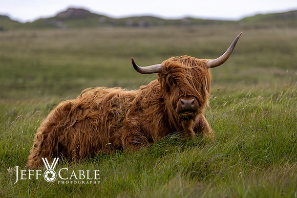 Edit-Scotland-Photo-Tour-0697