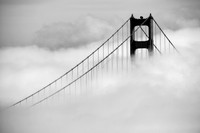 Golden Gate Emergence