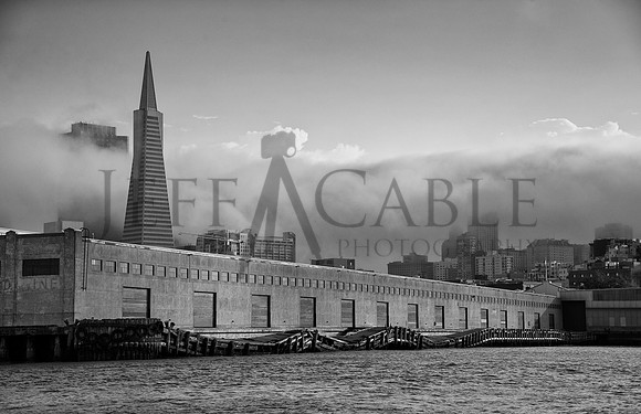Typical Day,                     San Francisco