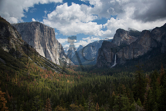 Yosemite Tunnel View