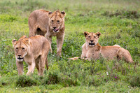 Edit_Tanzania_2016_0858