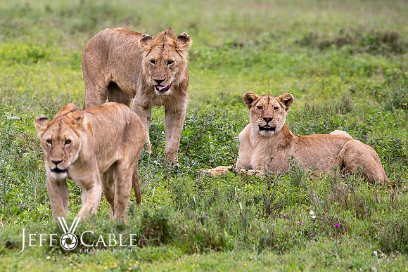 Edit_Tanzania_2016_0858