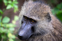 Edit_Tanzania_2016_0216