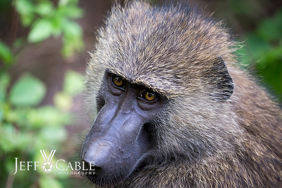 Edit_Tanzania_2016_0216