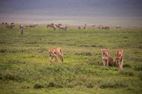 Edit_Tanzania_2016_0837