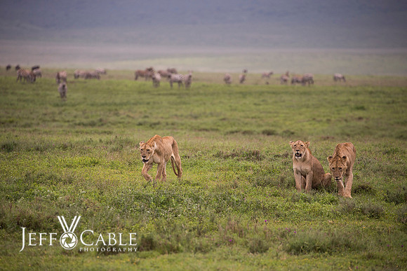 Edit_Tanzania_2016_0837