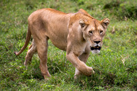 Edit_Tanzania_2016_0881