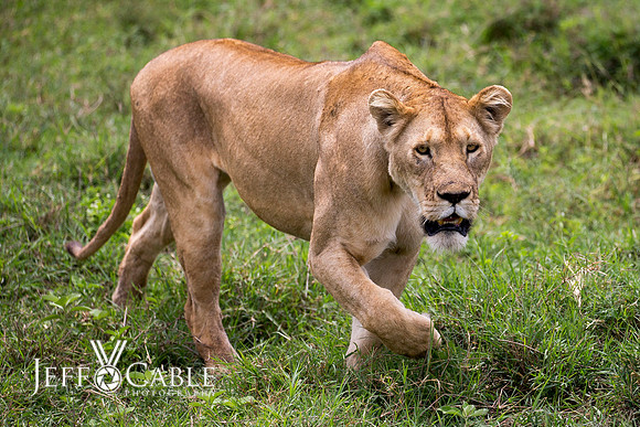 Edit_Tanzania_2016_0881