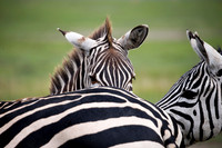 Edit_Tanzania_2016_0724
