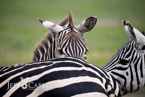Edit_Tanzania_2016_0724