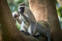Edit_Tanzania_2016_0014
