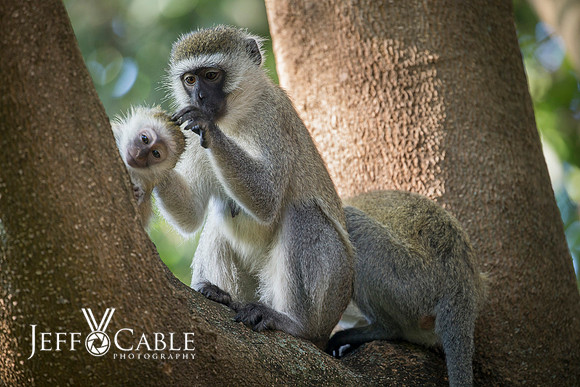 Edit_Tanzania_2016_0014