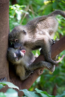 Edit_Tanzania_2016_0252