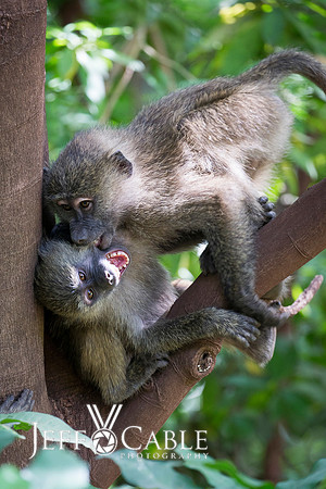 Edit_Tanzania_2016_0252