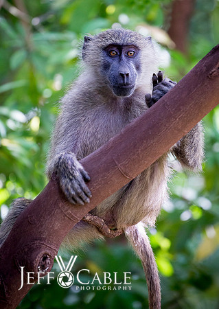 Edit_Tanzania_2016_0233
