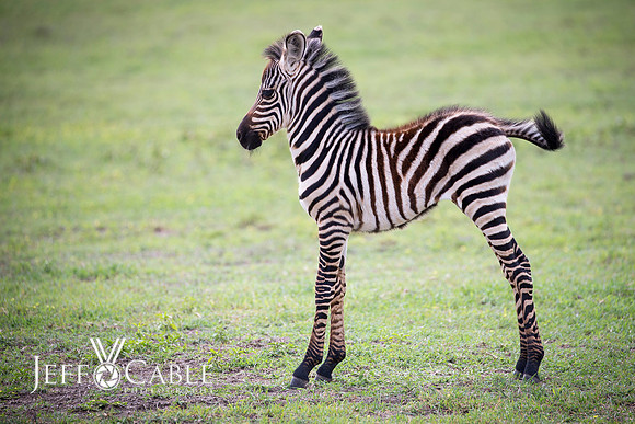Edit_Tanzania_2016_0643
