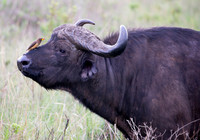 Edit_Tanzania_2016_0374