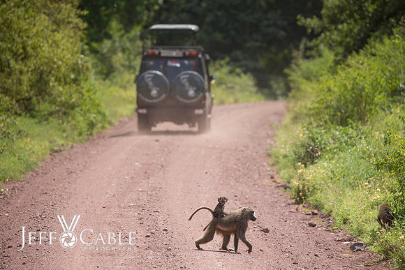 Edit_Tanzania_2016_0126