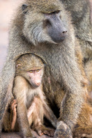 Edit_Tanzania_2016_0288