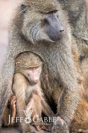 Edit_Tanzania_2016_0288