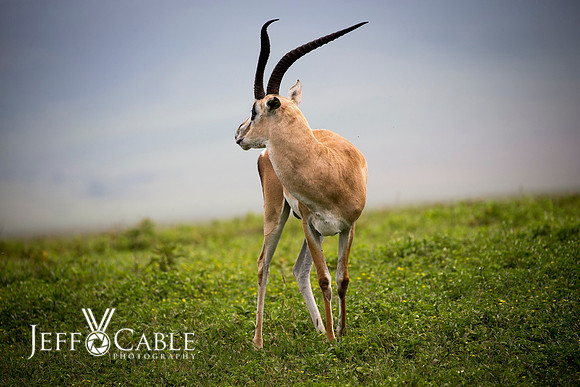 Edit_Tanzania_2016_0735