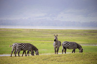 Edit_Tanzania_2016_0630